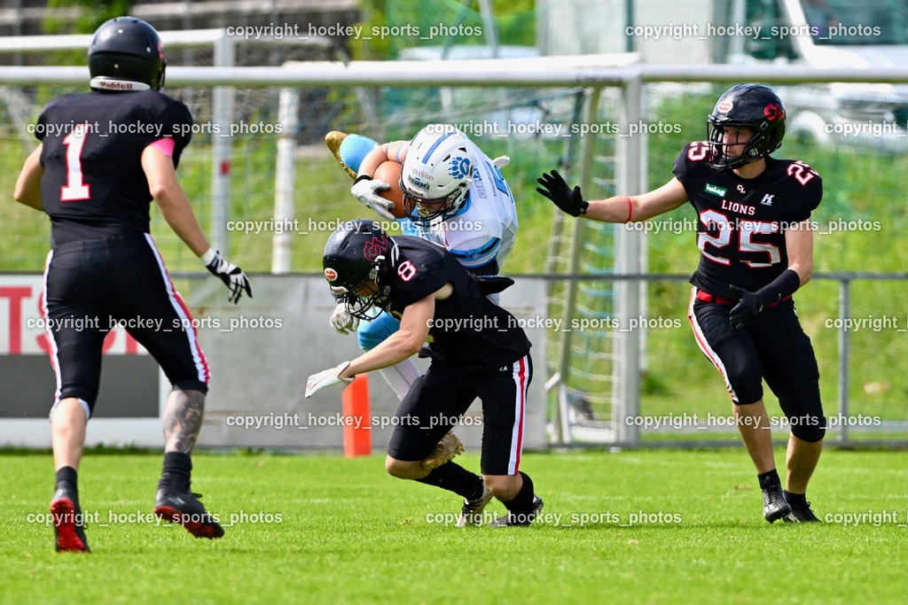 Carinthian Lions vs. Styrian Bears | Carinthian Lions vs. Styrian Bears, Carinthian Lions vs. Styrian Bears am 20.05.2024 in Klagenfurt (ASV Sportplatz), Austria, (Photo by Bernd Stefan)