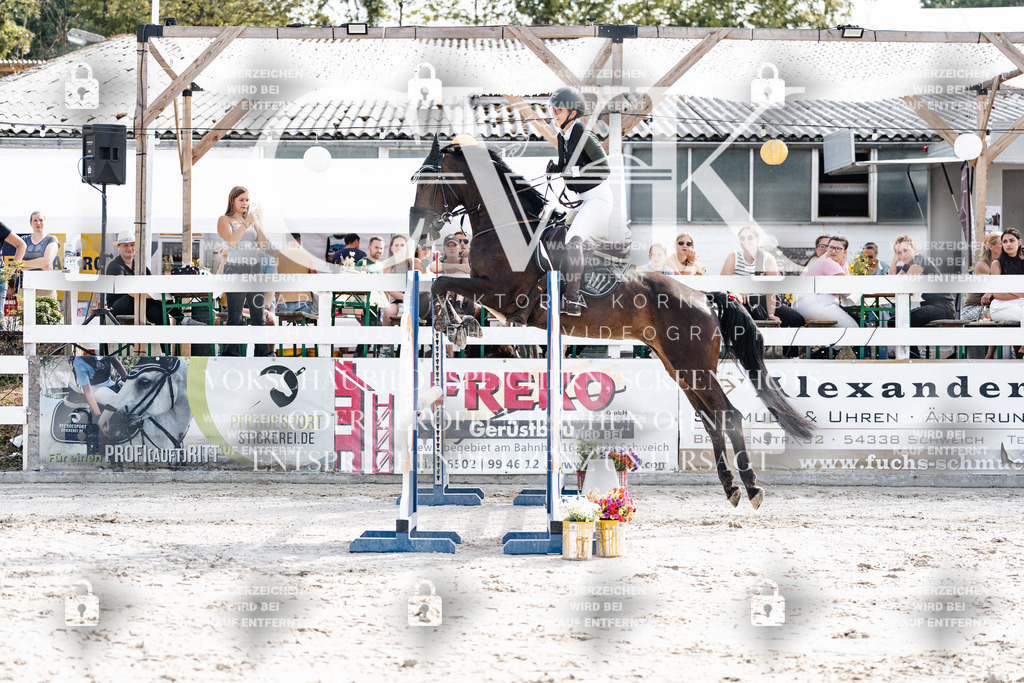 CK905540 | Turnierfotografie Pferdefotografie Trier Rheinland-Pfalz Pferdesport Reitsport Tierfotografie Sportfotografie Pferdevideo Pferdevideografie Equestrianvideography equestrianphotography  - Realisiert mit Pictrs.com