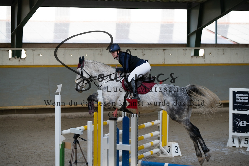 A7V01529 | Pferdefotograf