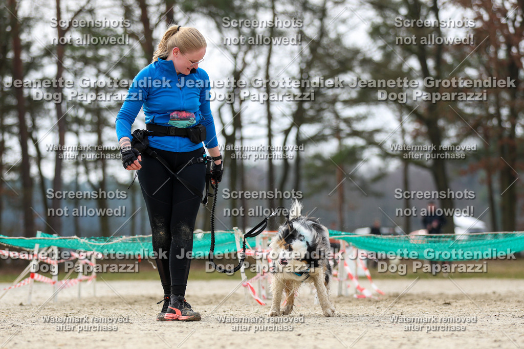 Dog Paparazzi - Strongdog North Mrz26-5597 | Dog Paparazzi Jeanette Grottendiek Fotografie & Videografie - Realisiert mit Pictrs.com