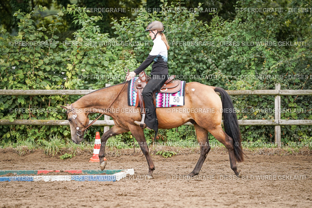 DSC04518 | Pferdegrafie