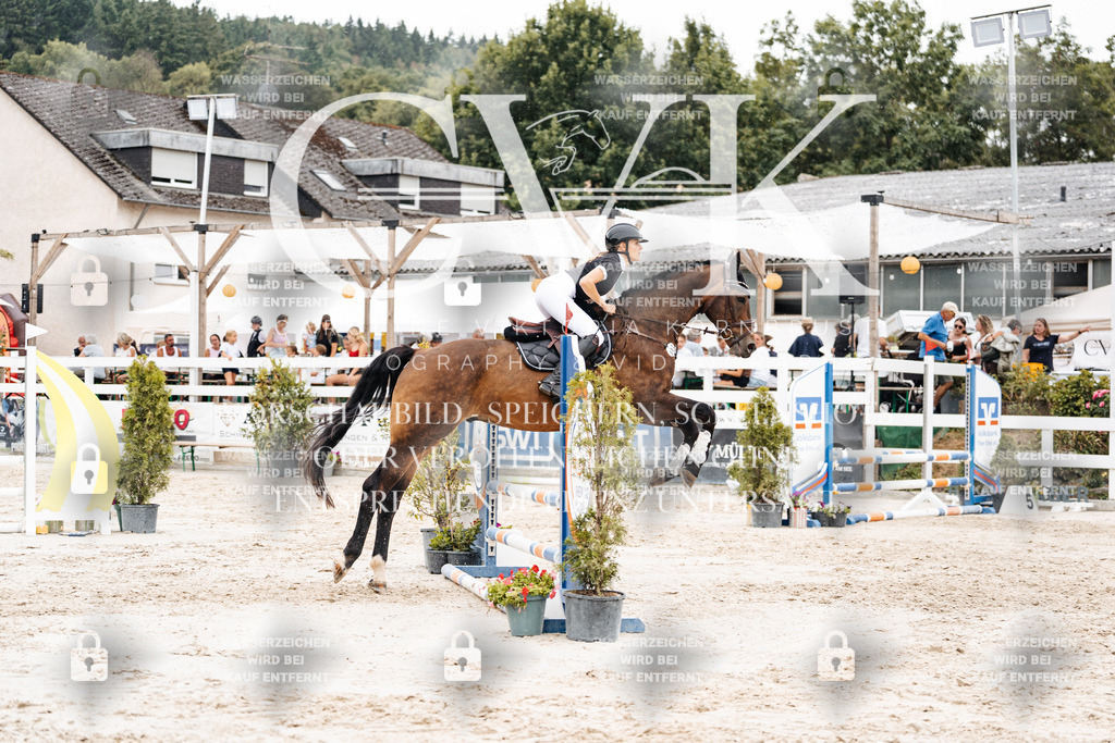 CK908509 | Turnierfotografie Pferdefotografie Trier Rheinland-Pfalz Pferdesport Reitsport Tierfotografie Sportfotografie Pferdevideo Pferdevideografie Equestrianvideography equestrianphotography  - Realisiert mit Pictrs.com