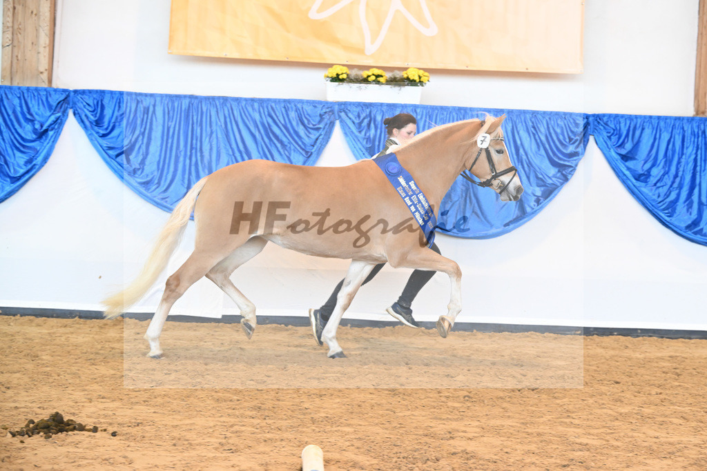 Kat-Nr. 7 Daria v. Armani Ass_Obermaier_60221307 | hf-fotografie - Realisiert mit Pictrs.com