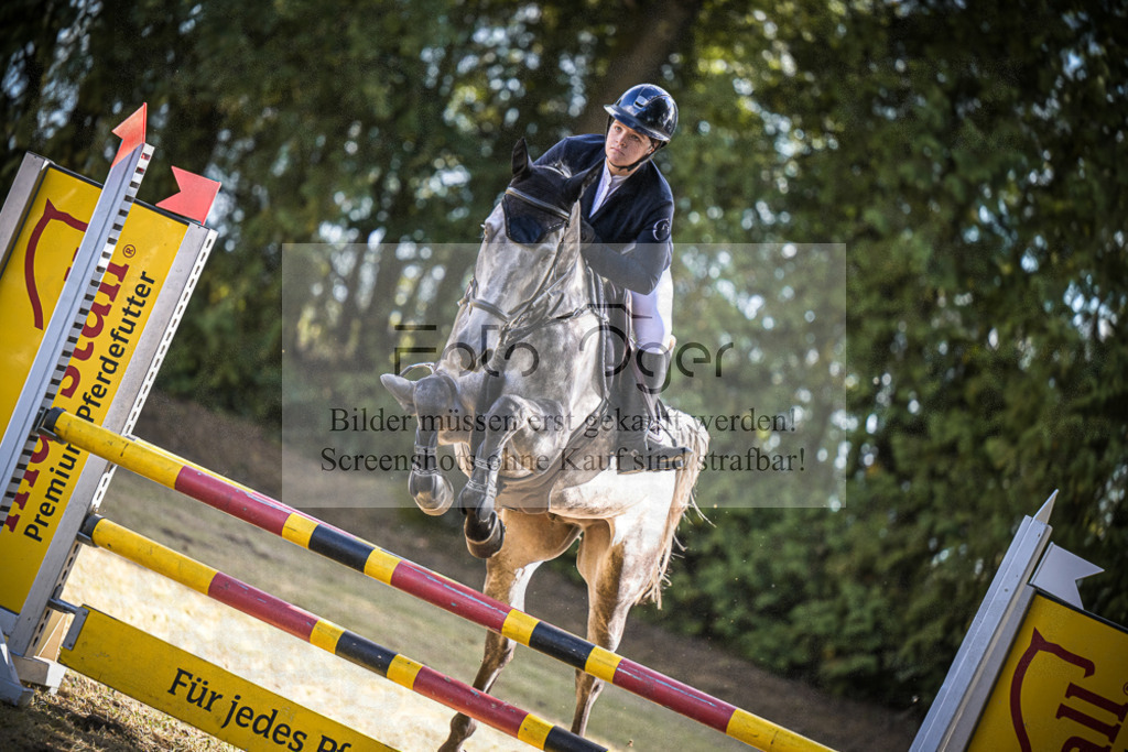 DOS_0813 | Entdecke hochwertige Reitturnierfotos von Foto Oger. Professionell, emotional und authentisch – jetzt Lieblingsmomente im Shop bestellen.Deutschlandweite Turnierfotografie. - Realisiert mit Pictrs.com