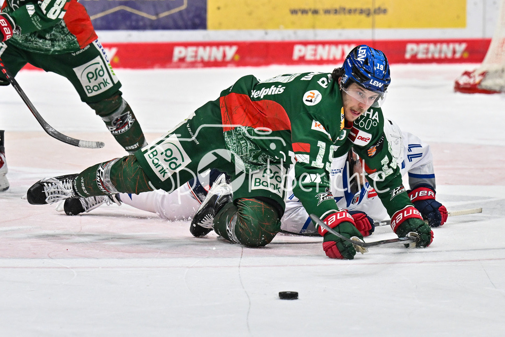 Augsburger Panther - Adler Mannheim | AUGSBURG, GERMANY - 28. DECEMBER: im Duell  Riley DAMIANI (Augsburger Panther 19) und Kristian REICHEL (Adler Mannheim 11) während dem Match zwischen den Augsburger Panthern und den Adler Mannehim am 33. Spieltag der Penny DEL im Curt Frenzel Stadion