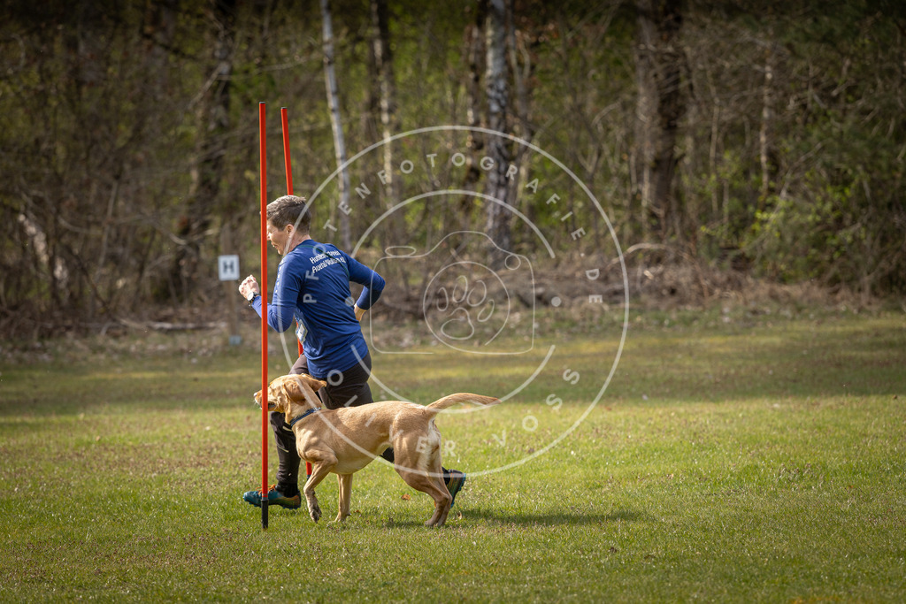 Pfotenfotografie_DV3A9733 | Hundefotografie, Tierfotograf, Pfotenfotografie, Fotoshooting Hund, Hunde Portrait, Hundesport, Hundeportraits, Heideshooting, Hunde, Sportfotograf, Hundefotograf, Turnierhundsport, THS,  - Realisiert mit Pictrs.com