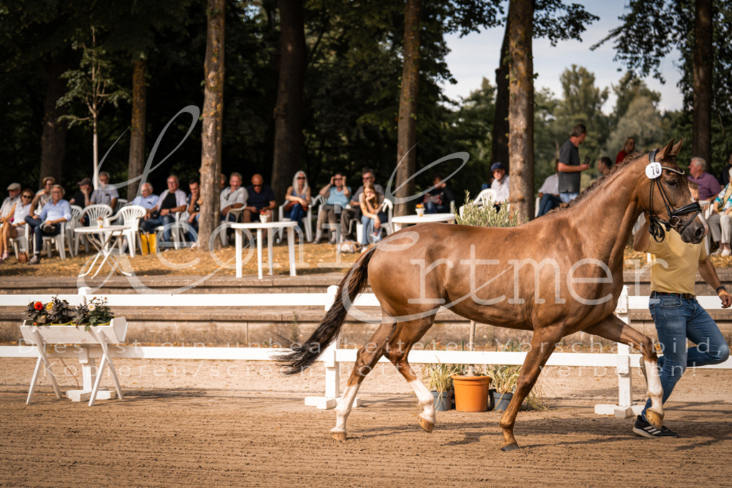 FrER00004 | Leoni Ertmer Photography - Realisiert mit Pictrs.com