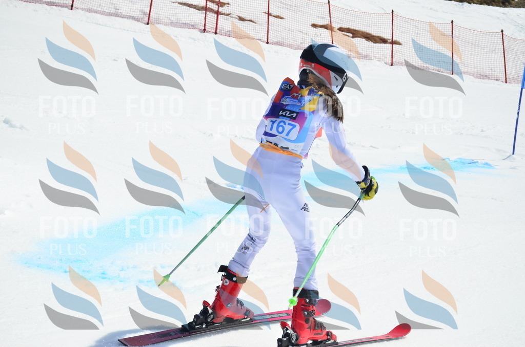 _ELE1117 | holidayphoto