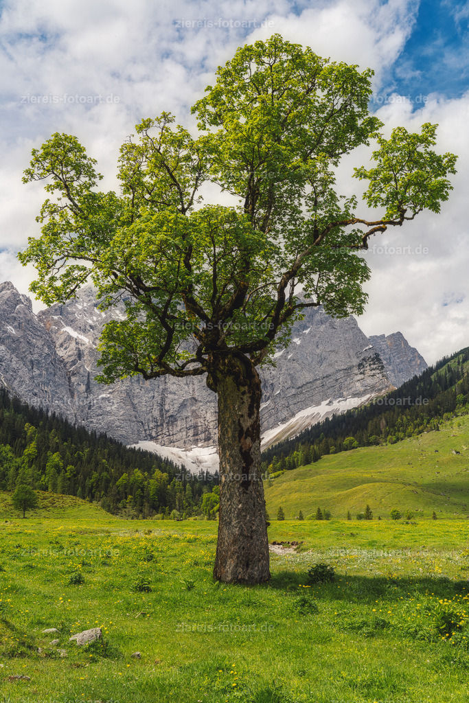 Der Ahornboden im Karwendel im Frühling | Der Ahornboden im Karwendel im Frühling - Realisiert mit Pictrs.com