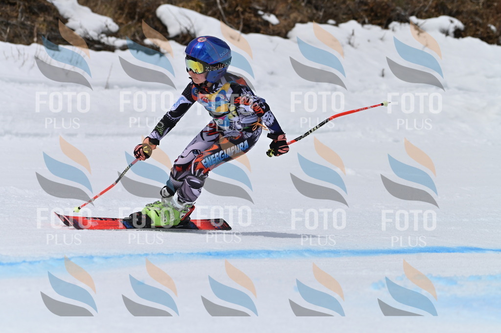 BGV_3902 | holidayphoto