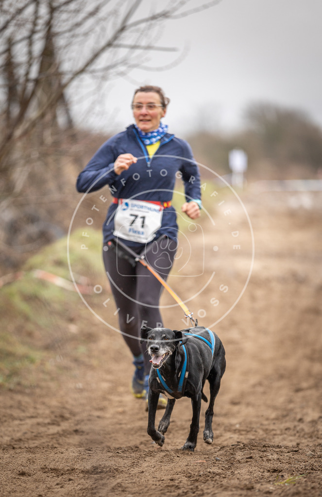 DV3A9644 | Hundefotografie, Tierfotograf, Pfotenfotografie, Fotoshooting Hund, Hunde Portrait, Hundesport, Hundeportraits, Heideshooting, Hunde, Sportfotograf, Hundefotograf, Turnierhundsport, THS,  - Realisiert mit Pictrs.com
