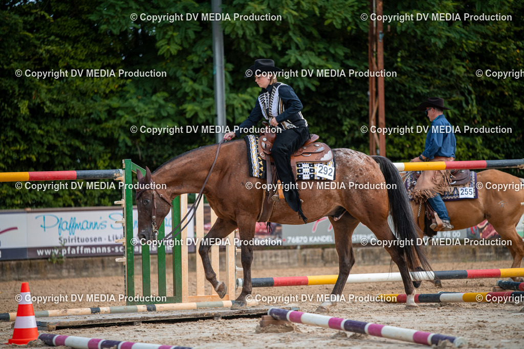 ZS3_9153 | dv-media-shop - Realisiert mit Pictrs.com