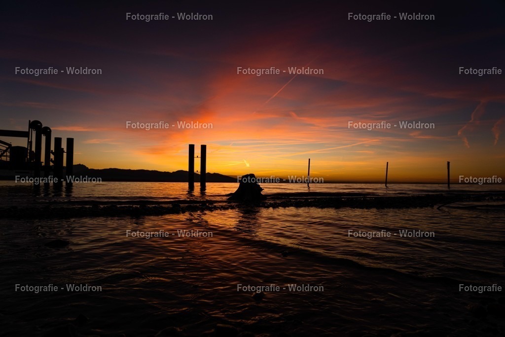 20221109 Bregenz Bodensee-9 | Fotografie Woldron