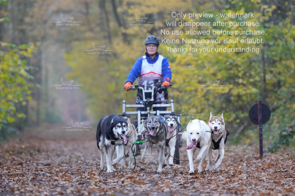 Rigs4bis8So-99 | stephaniefillaphotographie - Realisiert mit Pictrs.com