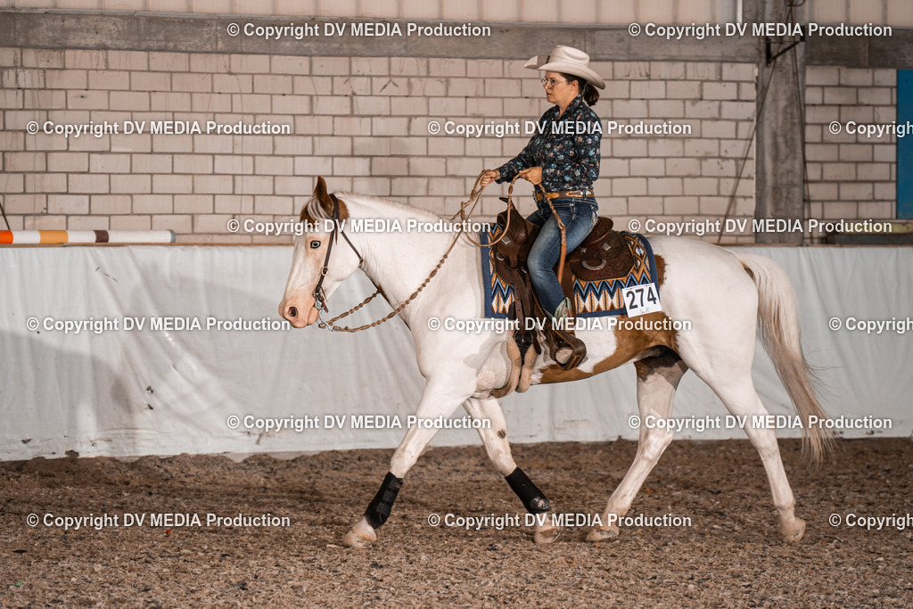 ZH200918 | dv-media-shop - Realisiert mit Pictrs.com