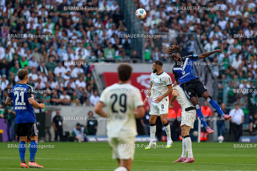 Borussia Mönchengladbach vs Hamburger SV - Bundesliga  | Mönchengladbach, Deutschland, 24.08.25:   Franck Honorat (Borussia Mönchengladbach), Haris Tabakovic (Borussia Mönchengladbach) und Jordan Torunarigha (Hamburger SV) im Kampf um den Ball waehrend des Spiels der Bundesliga zwischen Borussia Mönchengladbach vs Hamburger SV im Stadion im Borussia Park(Foto von Brauer-Fotoagentur / Adrian Schlueter)