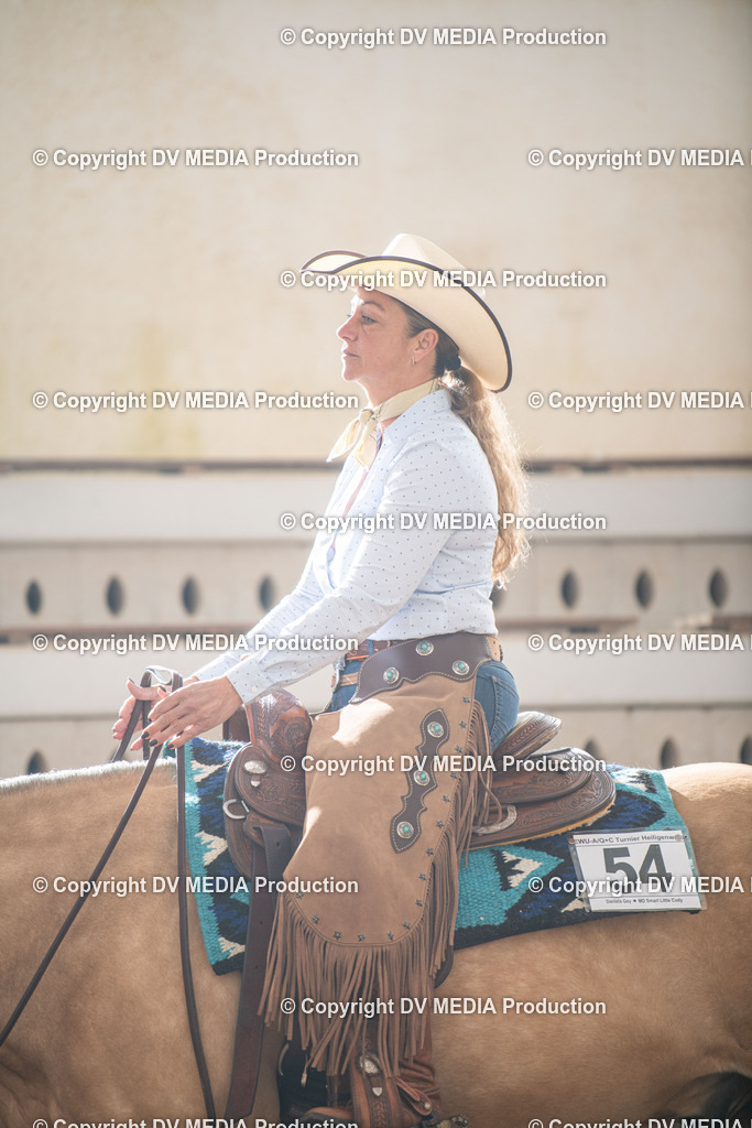 Heiligenwald Tag 1-487 | dv-media-shop - Realisiert mit Pictrs.com