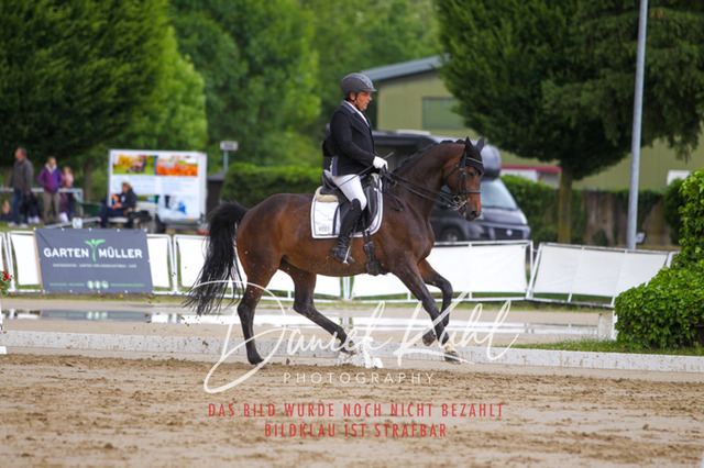 DKP40790 | Turniersportfotografie; Pferdefotografie; Dressurfotografie