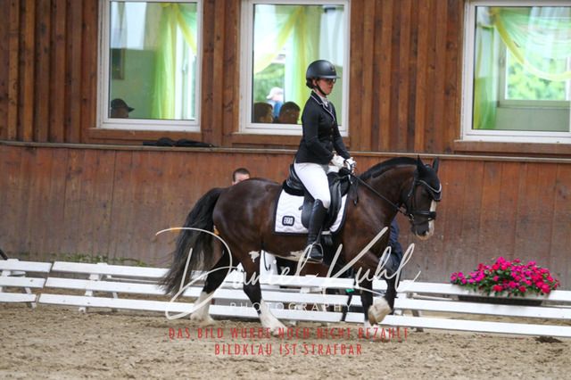 DKP44290 | Turniersportfotografie; Pferdefotografie; Dressurfotografie