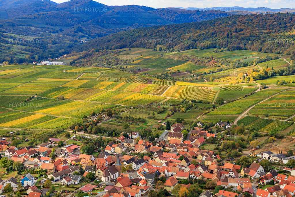 Luftbild: Weinlage Sonnenberg im Ortsteil Schweigen in Schweigen-Rechtenbach im Bundesland Rheinland-Pfalz in Deutschland. Foto: IMG_22465.jpg vom 15.10.2009 durch Werner Riehm/FLY-FOTO.de