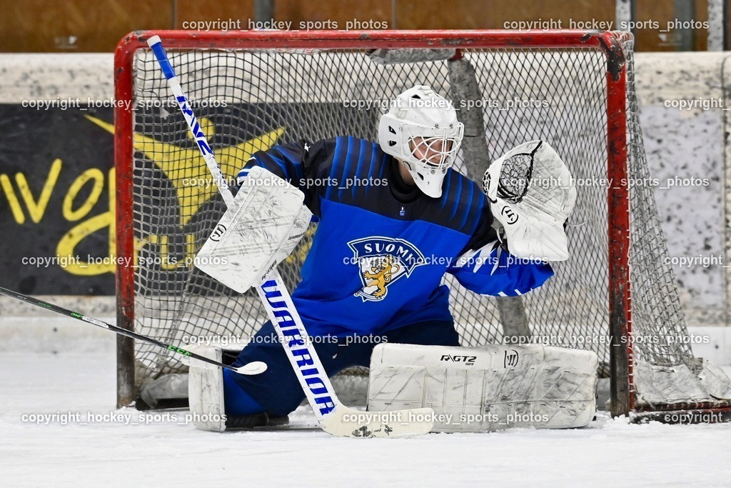 BST_4413 | hockey sports photos, Pressefotos, Sportfotos, hockey247, win 2day icehockeyleague, Handball Austria, Floorball Austria, ÖVV, Kärntner Eishockeyverband, KEHV, KFV, Kärntner Fussballverband, Österreichischer Volleyballverband, Alps Hockey League, ÖFB, 