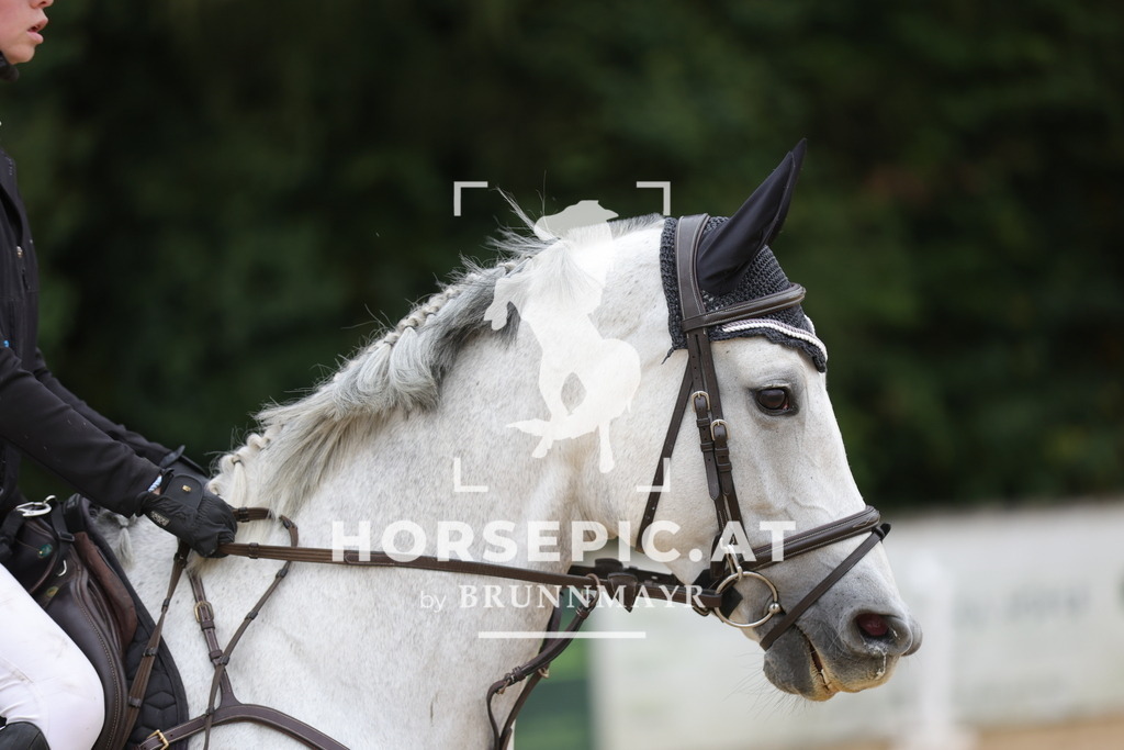 0P6A5443 | Willkommen bei Brunnmayr - Design & Fotografie – Ihrem Spezialisten für Reitturniere und Pferdeveranstaltungen in Oberösterreich, Salzburg und Bayern! Seit über 17 Jahren sind wir leidenschaftlich dabei.