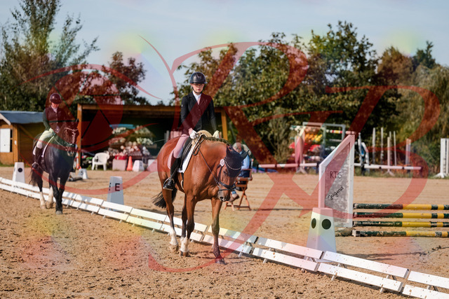 2026_10_03_Siefer-Hof_131541_Z63_77560012 | Professionelle Reitsport-, Turnier- und Eventfotografie von Robert Broda. Galerien mit ausgewählten und bearbeiteten Bildern direkt online ansehen und bestellen.