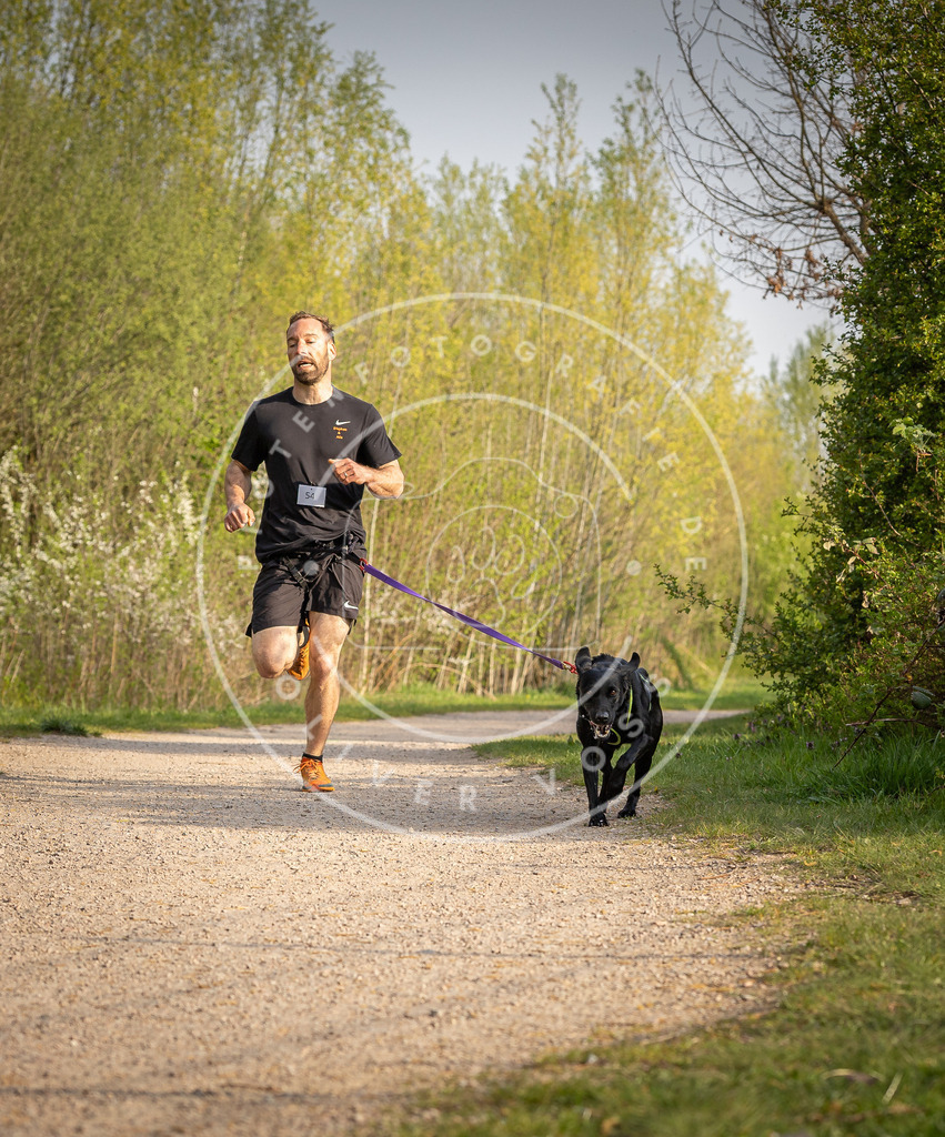 Pfotenfotografie_DV3A4626 | Hundefotografie, Tierfotograf, Pfotenfotografie, Fotoshooting Hund, Hunde Portrait, Hundesport, Hundeportraits, Heideshooting, Hunde, Sportfotograf, Hundefotograf, Turnierhundsport, THS,  - Realisiert mit Pictrs.com