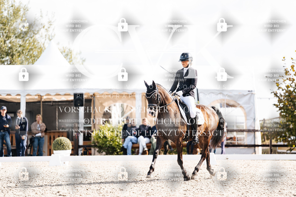 CK902096 | Turnierfotografie Pferdefotografie Trier Rheinland-Pfalz Pferdesport Reitsport Tierfotografie Sportfotografie Pferdevideo Pferdevideografie Equestrianvideography equestrianphotography  - Realisiert mit Pictrs.com