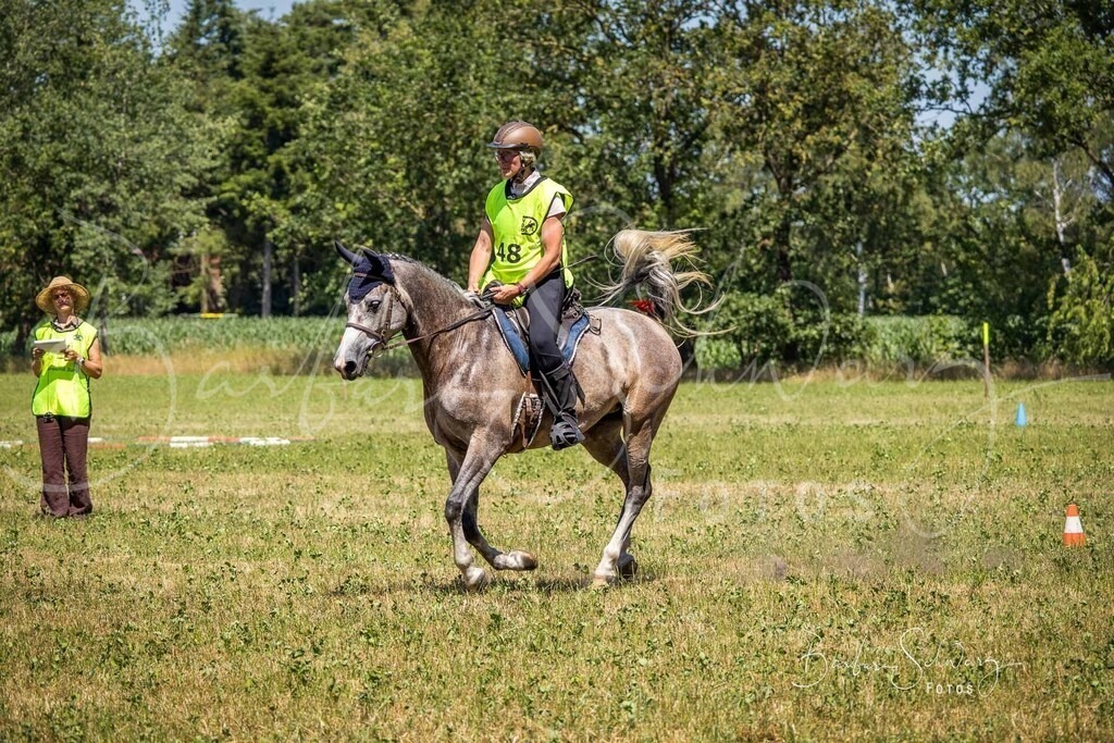 CJP_2026-06-26_32 | Stimmungsvolle Fotografie von Pferden, fotografische Begleitung von Veranstaltungen, Golfturnieren und Distanzritten - Realisiert mit Pictrs.com