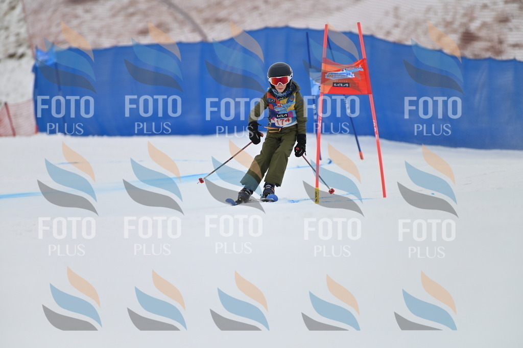 BGV_0774 | holidayphoto