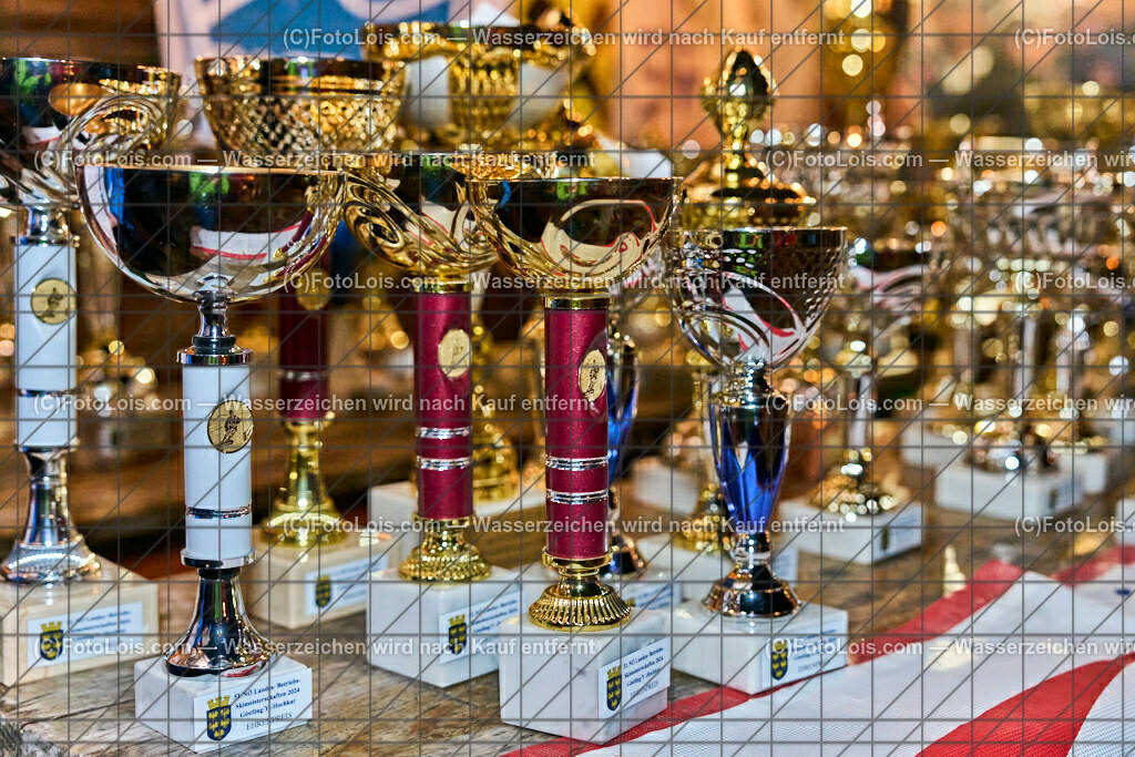 ALP9458_NOe-BetriebsSKI-LM_Ehrenpreise | (C)FotoLois.com, Alois Spandl. 51. Niederösterreichische LandesBetriebs-Skimeisterschaften, best of two, Almlift-Piste Hochkar, LSV - Schiclub Göstling-Hochkar, Fr 16. Februar 2024.