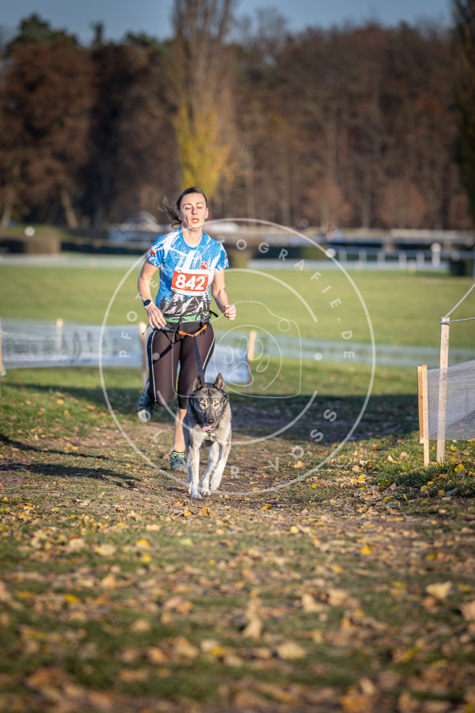 CaniXpix_DV3A3702 | Hundefotografie, Tierfotograf, Pfotenfotografie, Fotoshooting Hund, Hunde Portrait, Hundesport, Hundeportraits, Heideshooting, Hunde, Sportfotograf, Hundefotograf, Turnierhundsport, THS,  - Realisiert mit Pictrs.com