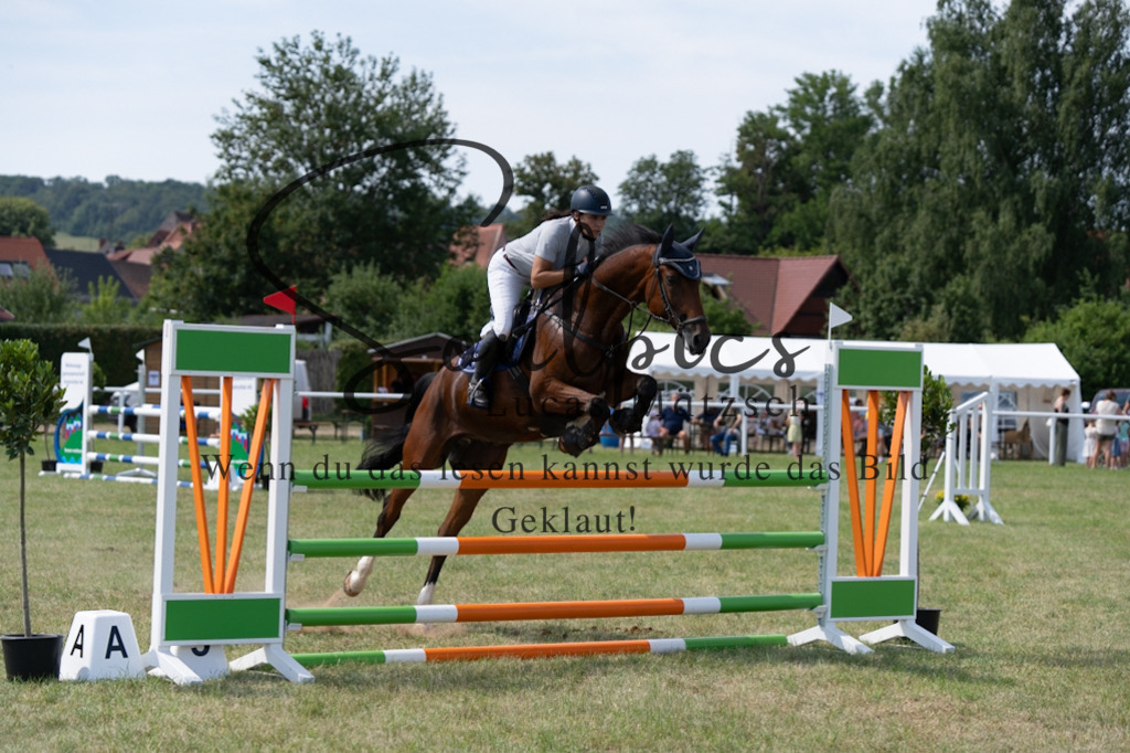 A7V01725 | Pferdefotograf