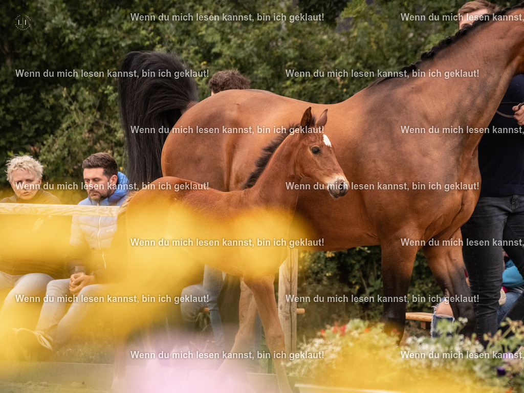 A10I4065 15.58.11 | photographylinaismer - Realisiert mit Pictrs.com