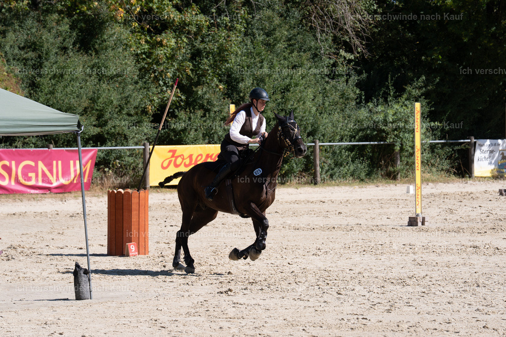 WL_SP_25_SinaFilmArt_IN06310 | working equitationturnier fotograf videograf stoibphotography marixx film working equitation deutschland reitsport turnierfotografie eventfotografie equestrian events
