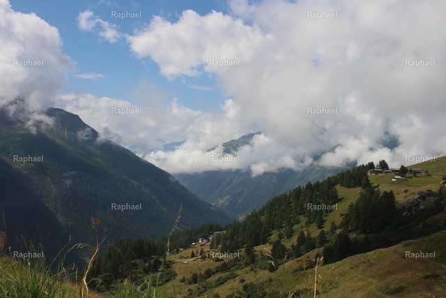 IMG_2314 | Raphael - Realisiert mit Pictrs.com