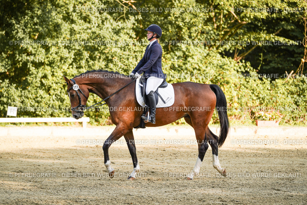 DSC05636 | Pferdegrafie