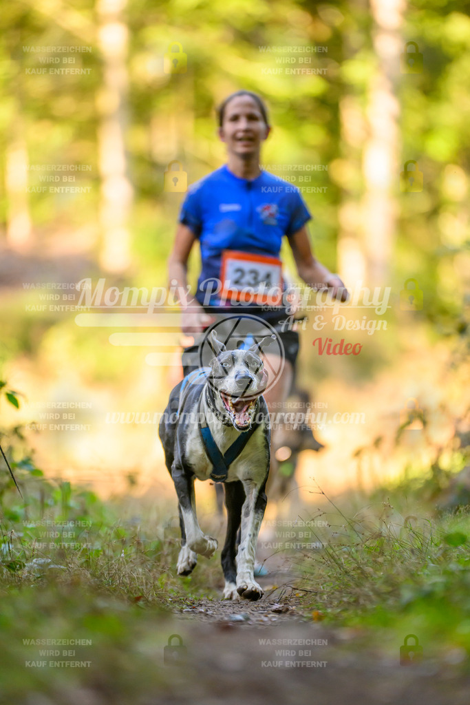 MompixPhotography_Yens2025_B3-151 | PayLife