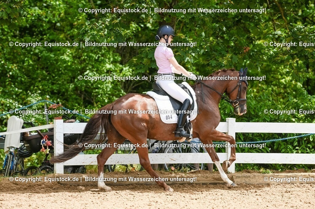 20230716_03_Dressurprfg. Kl.L - Tr._0234 | equistock