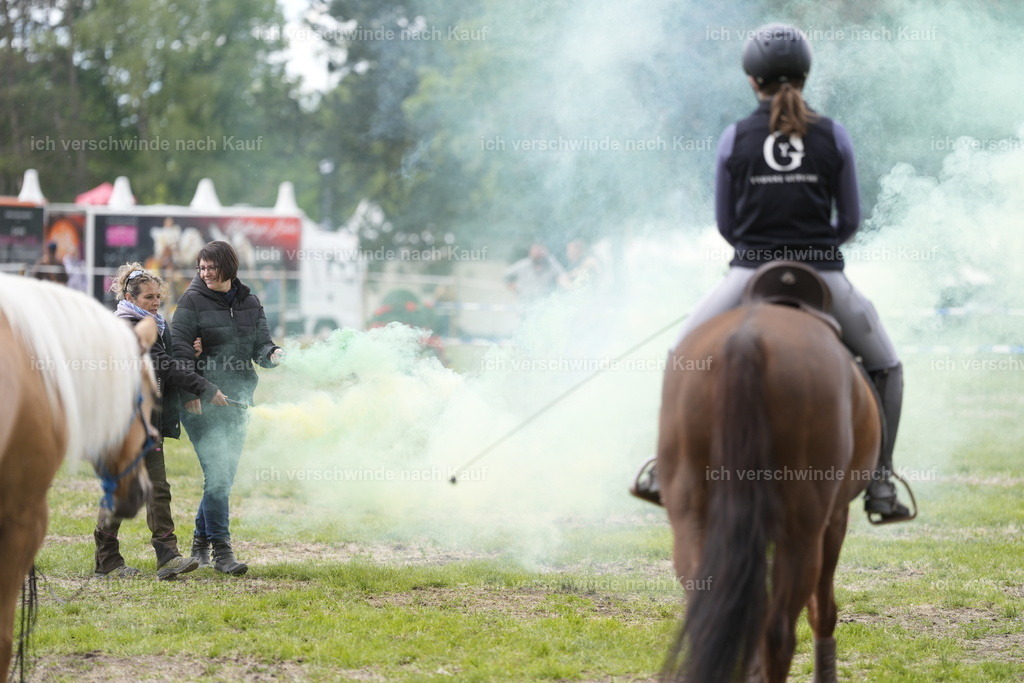 PI26_Show_BTS_StoibphotographyPI26_Show_BTS_Stoibph_DSC0947.JPG.JPG | working equitationturnier fotograf videograf stoibphotography marixx film working equitation deutschland reitsport turnierfotografie eventfotografie equestrian events