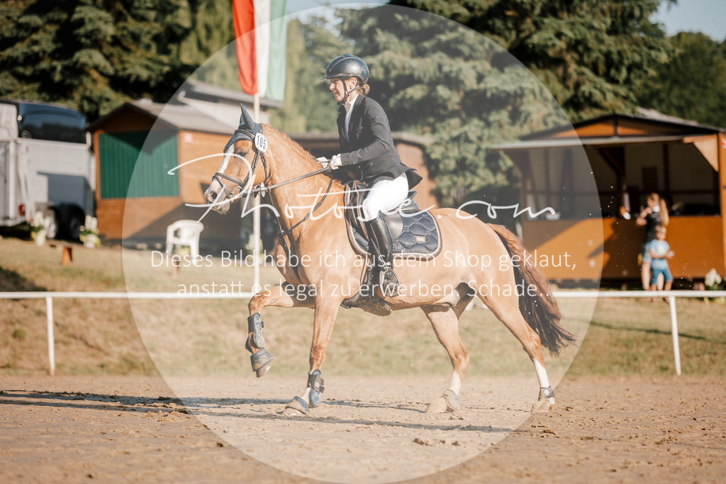 3I6A6214 | Stimmungsvolle Portraits und Reitsportfotografie im Ruhrgebiet und im Münsterland.

Pferdefotografie, Hundefotografie, Tierfotografie, Reportagen, Portraits von Tier und Mensch, Turnierfotografie in Bochum, Recklinghausen, Marl, Haltern am See, Dülmen.. - Realisiert mit Pictrs.com