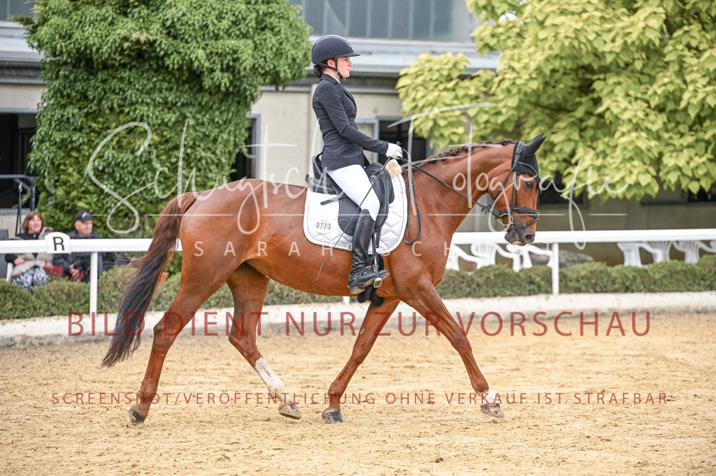 Schugtsche-Aluta25-43.EDressur -28 | Schugtsche Fotografie - Realisiert mit Pictrs.com