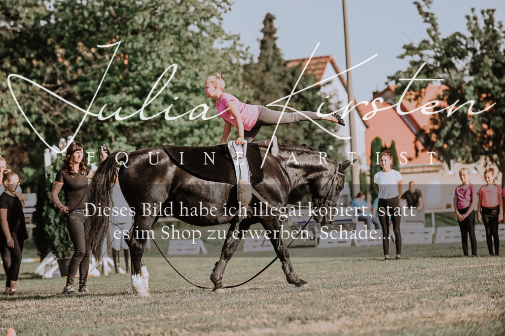 DSC_9834 | Pferde- und Turnierfotografie in Westsachsen. Pferdeportraits, Auftragszeichnungen und intuitive Kunst.