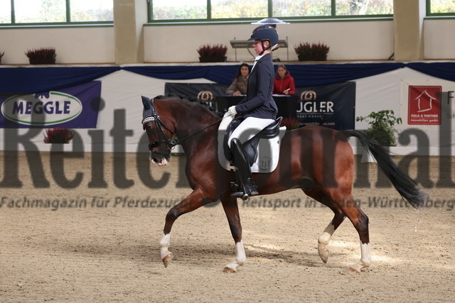 Ising_2025_Prfg.Nr.20_Pony-Dressurprfg.Kl.L_Kür_Valentina Sedlmayer_Der Duke 2 (2) | Alle Fotos der Reiterjournal Fotografin Doris Matthaes im Reiterjournal Online-Fotoshop. - Realisiert mit Pictrs.com