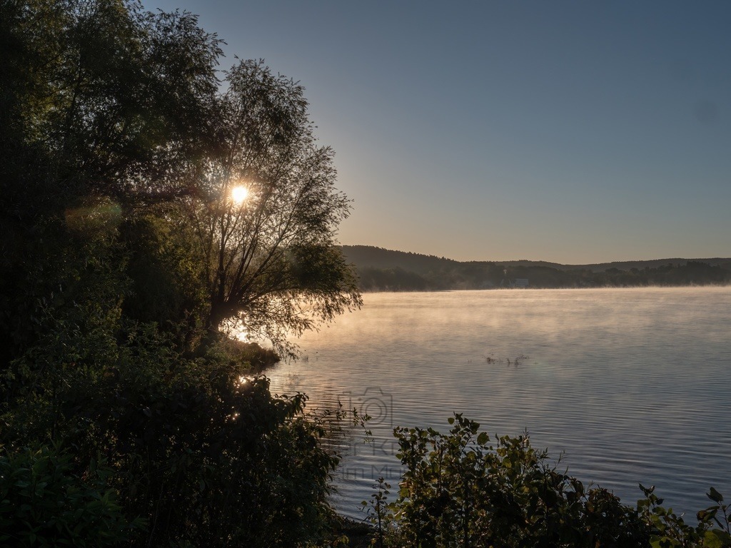 Am Ufer der Möhne früh Morgens | Die aufgehende Sonne hinter einem Baum an der Möhne im Sauerland - Realisiert mit Pictrs.com