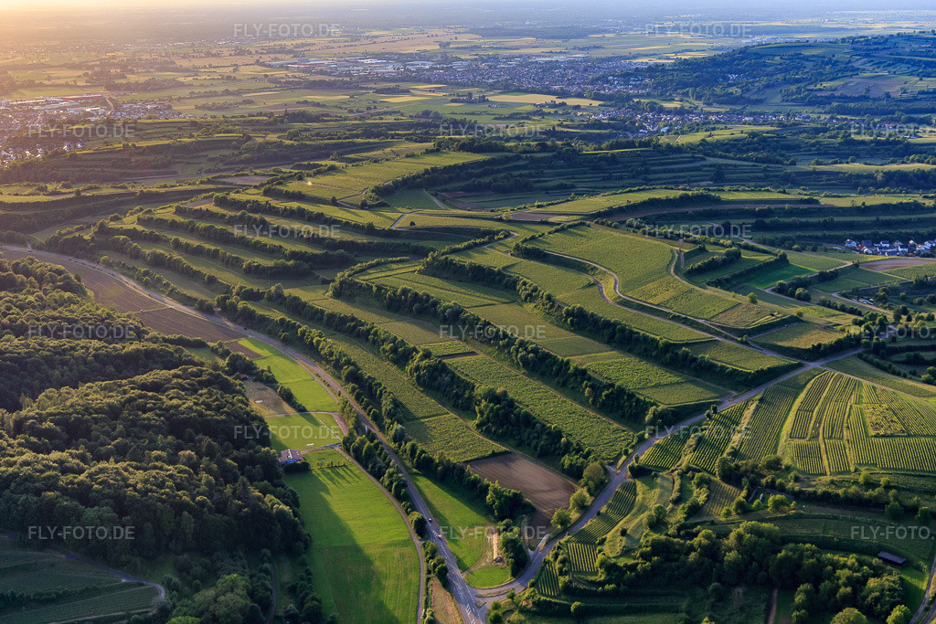 Luftbild: terassierte Weinberge im Ortsteil Nordweil im Ortsteil Bombach in Kenzingen im Bundesland Baden-Württemberg in Deutschland. – Foto: IMG_147447.jpg vom 29.05.2025 durch Werner Riehm/FLY-FOTO.de – Auflösung des Originals: 5263 x 3509 px