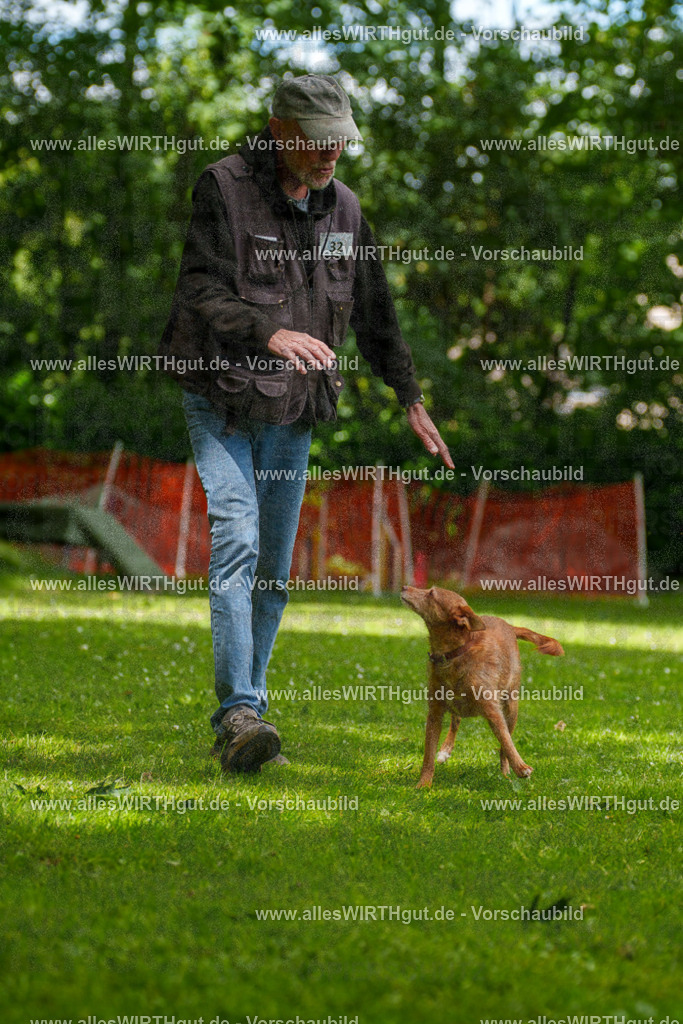 @allesWIRTHgut_Tierfotografie - www.allesWIRTHgut.de - 121544-7R508748 | Professionelle Tierfotografie in Mönchengladbach von Daniel Wirth (allesWIRTHgut). Liebevolle & natürliche Bilder von Hunden & Katzen für unvergessliche Erinnerungen.
