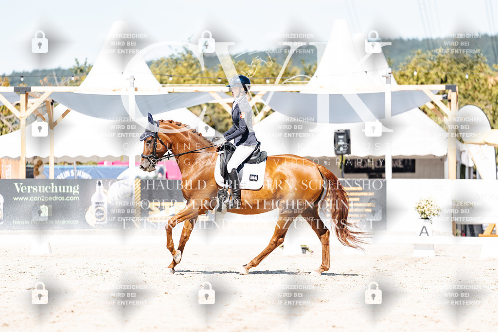 CK909665 | Turnierfotografie Pferdefotografie Trier Rheinland-Pfalz Pferdesport Reitsport Tierfotografie Sportfotografie Pferdevideo Pferdevideografie Equestrianvideography equestrianphotography  - Realisiert mit Pictrs.com