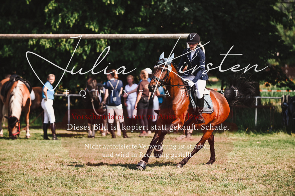 DSC_7317 | Pferde- und Turnierfotografie in Westsachsen. Pferdeportraits, Auftragszeichnungen und intuitive Kunst.